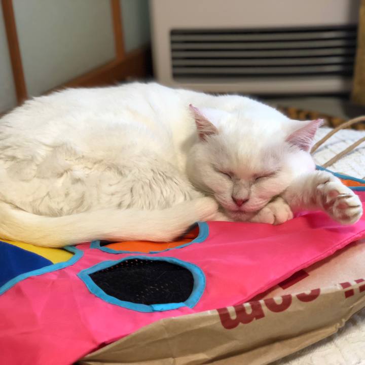 D0b829a7 9b7a 4eff 852e 21575e551e67 1533435399744