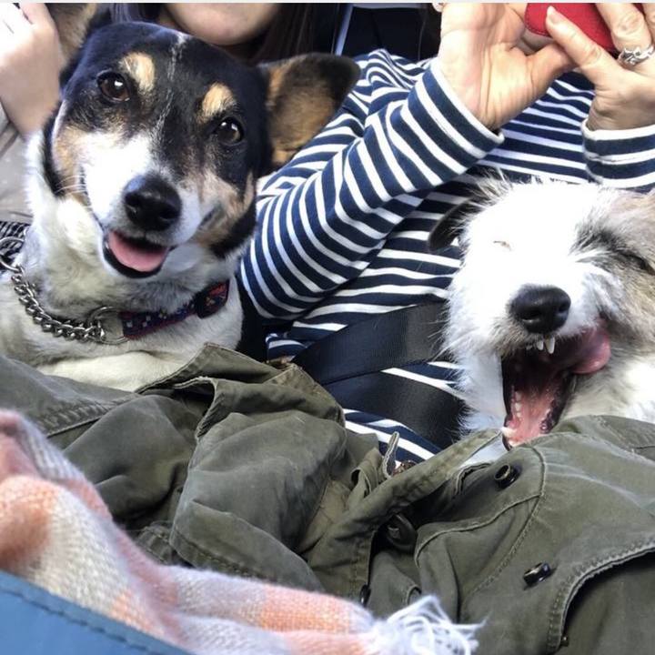 D0b82dd3 6b89 46a9 945f 5e3bfc9ce6ad 1746493767595