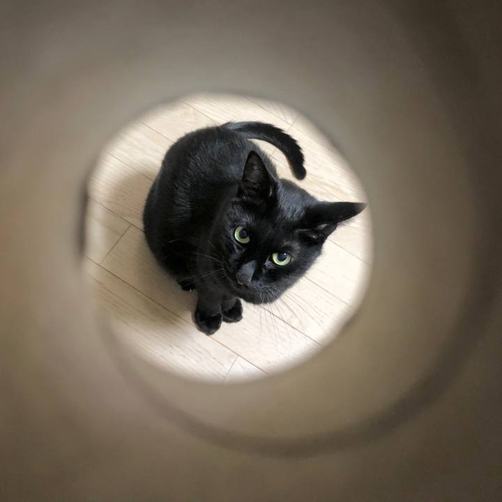 D0b85ff3 30d8 4557 9ece 150ed7aa6892 1603284485679