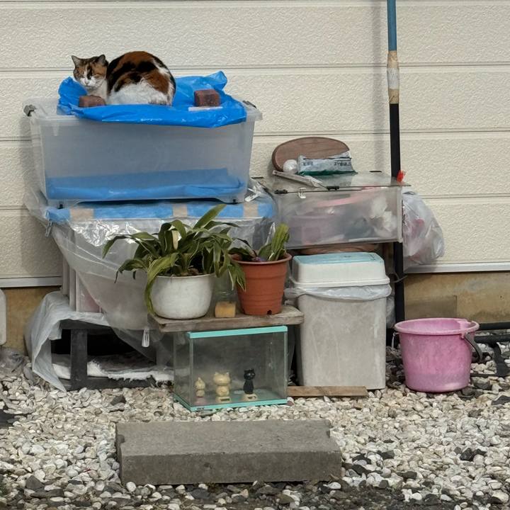 D0b86700 3936 4b5b aca0 63831495e8c9 1773023308711