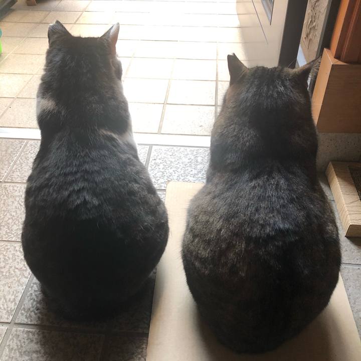 D0b899d1 4e81 4c8e 92af 126e2cca3797 1580909077899