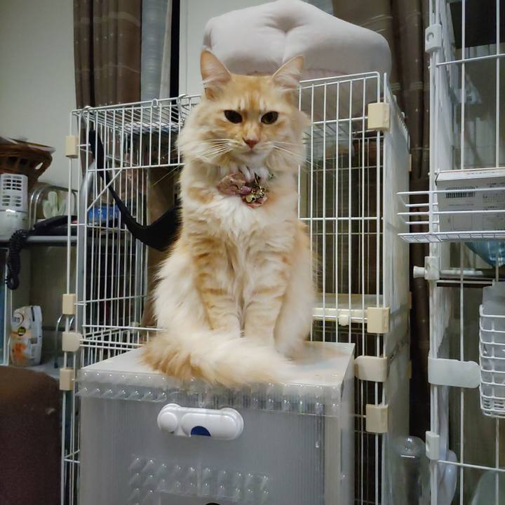 D0b8b6e7 dc2b 4792 855c cd52e5b266bf 1697371246010