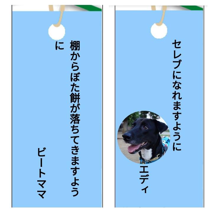 D0b8cf49 76e8 4d1a 957a 479c78ad89e2 1625568151097