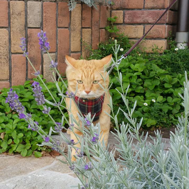 D0b8e872 9655 44c3 b2bb 1004bc628ee4 1538268699279