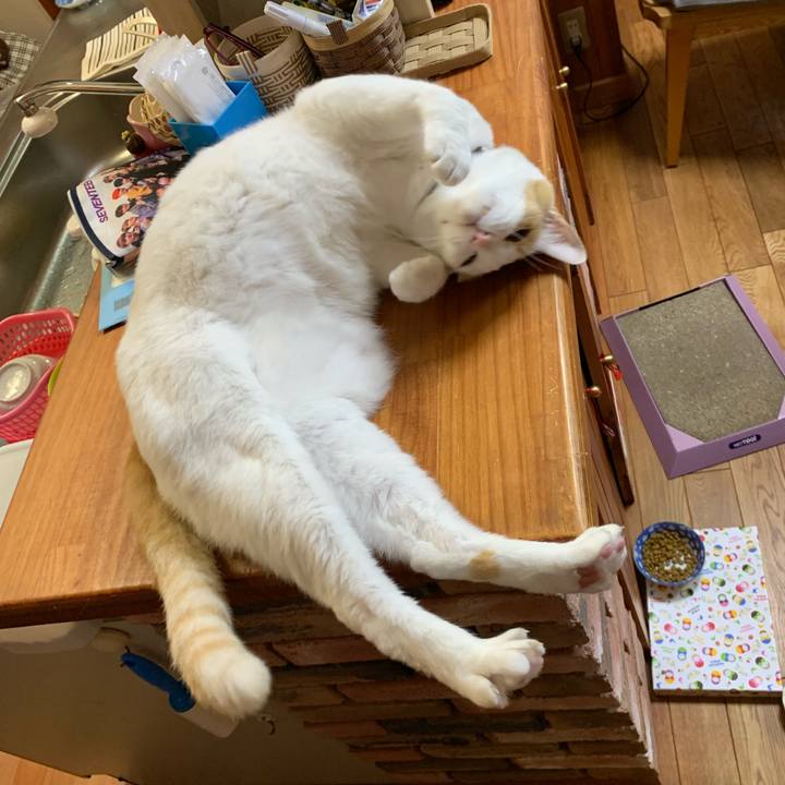 D0b91a50 0faa 4f0b a568 1ddbff4f0f04 1555655076812