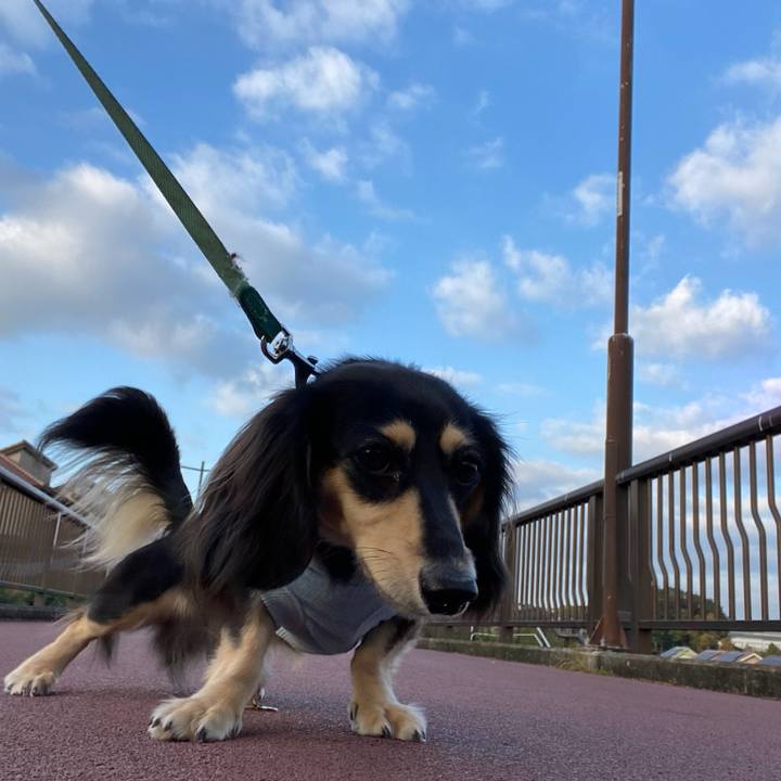 D0b91c5d 7abe 43f0 8153 0a6ded58bf5b 1698715083531