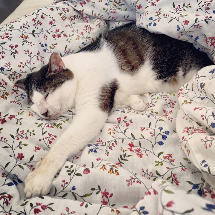 D0b933e4 db34 47da ab33 5b4b125ebbe9 1592707220028