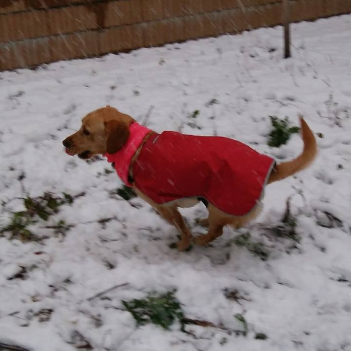 D0b98773 9c94 4fff bc2a 724ed3330666 1516608754254