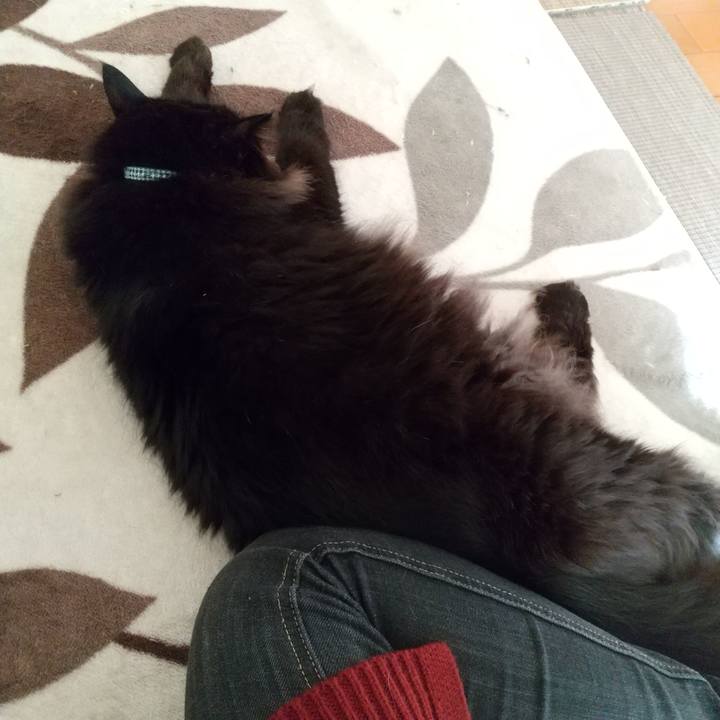 D0b9fc50 06ac 46c3 8dce 10f53153a508 1579584733203