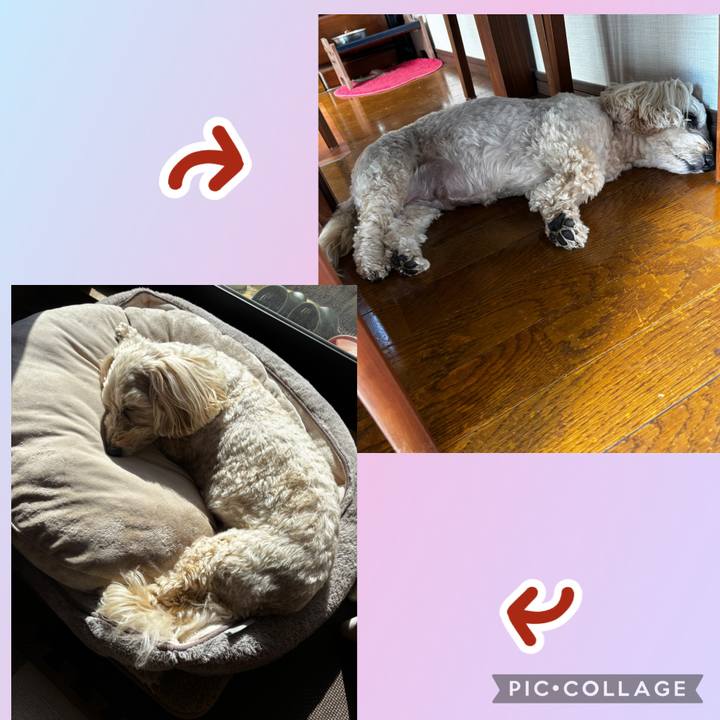 D0ba3de5 ef44 4a22 ba7f 1eeef8533a50 1772676609757