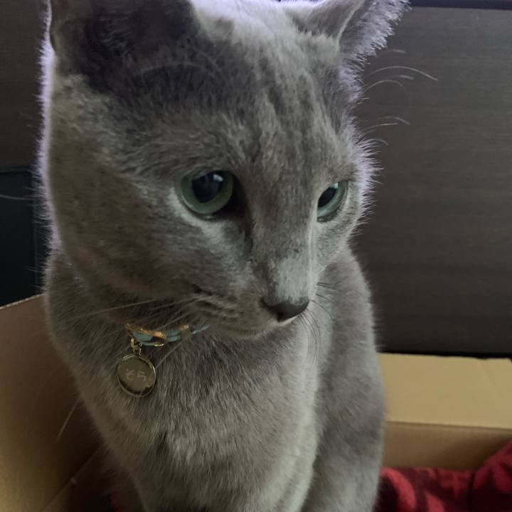 D0ba3e45 eada 45d1 87cc d0ca79ed4c83 1606950132217