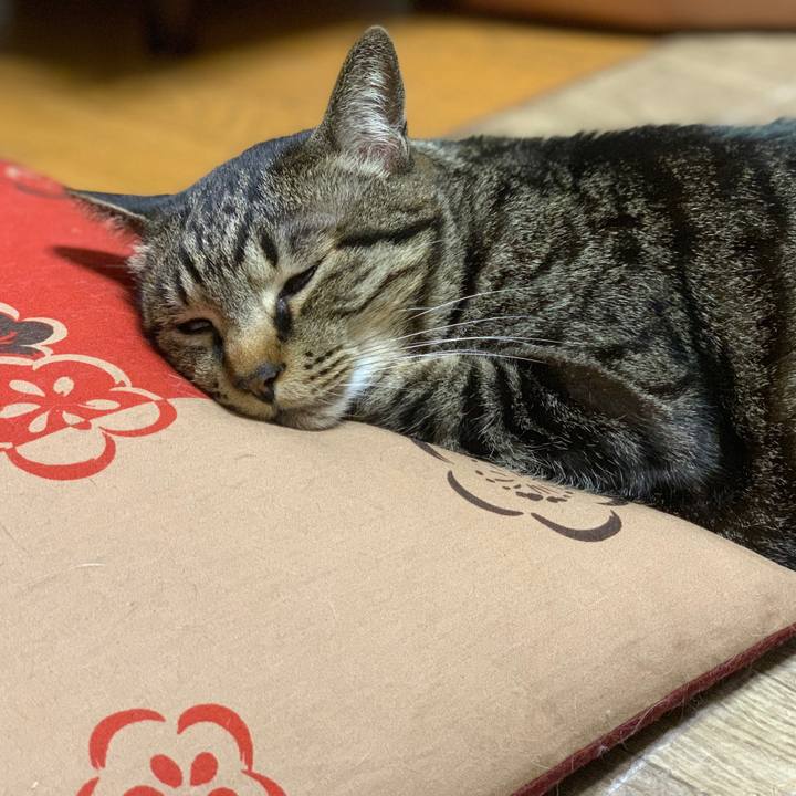 D0ba4b9a 4e30 4722 8fa6 fe6baffdd617 1551618233226