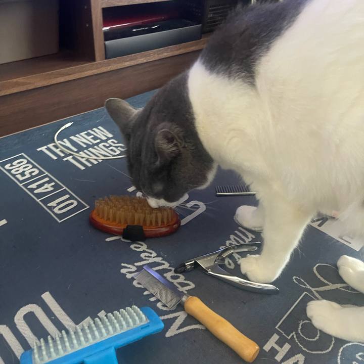 D0ba65fe 4655 42ea ad50 b4311191c53a 1714263810690