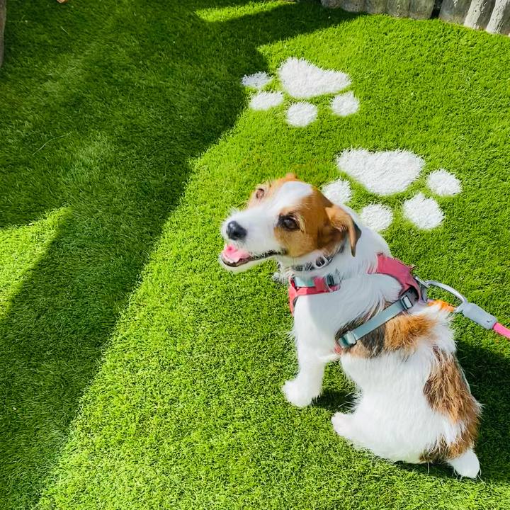 D0ba9bbc fb6e 4c38 a97c 63e0cda271ef 1762159621322