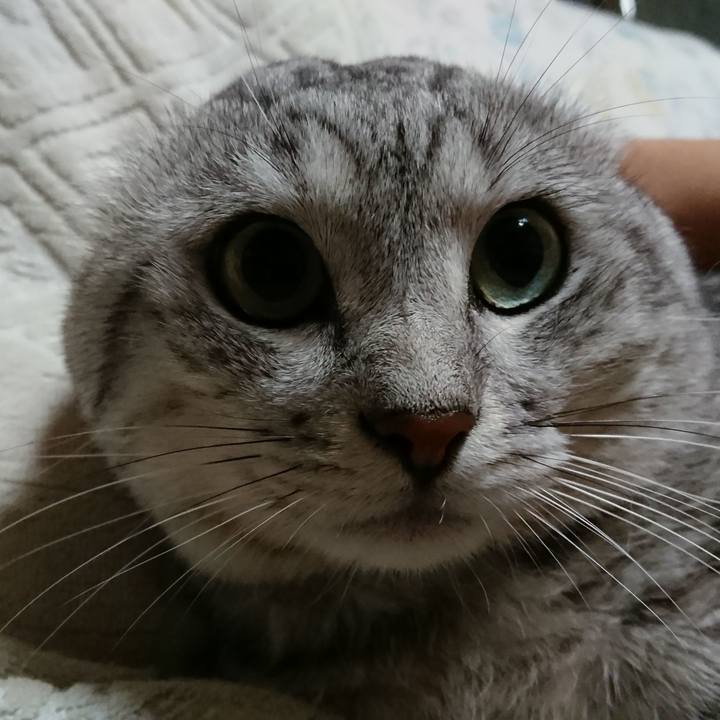 D0baae95 4cf3 4e6f ae77 ad8e685b6e71 1566990550725