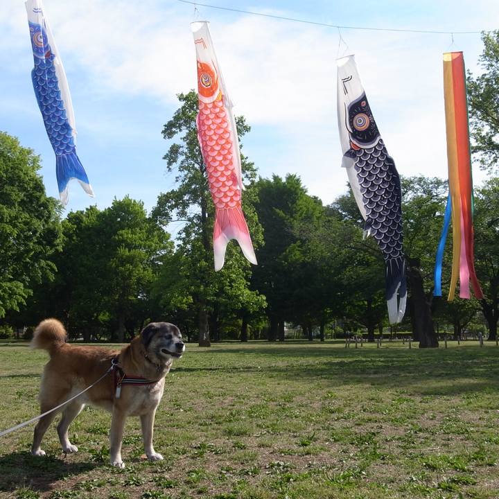 D0bab6ba 8bbc 43ae b027 e5f6c7758064 1606438285661