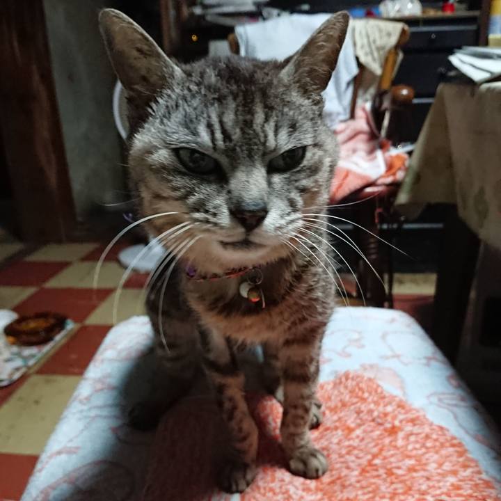 D0bb17f0 6ca5 4f44 8353 1bb77d12496c 1593288347367