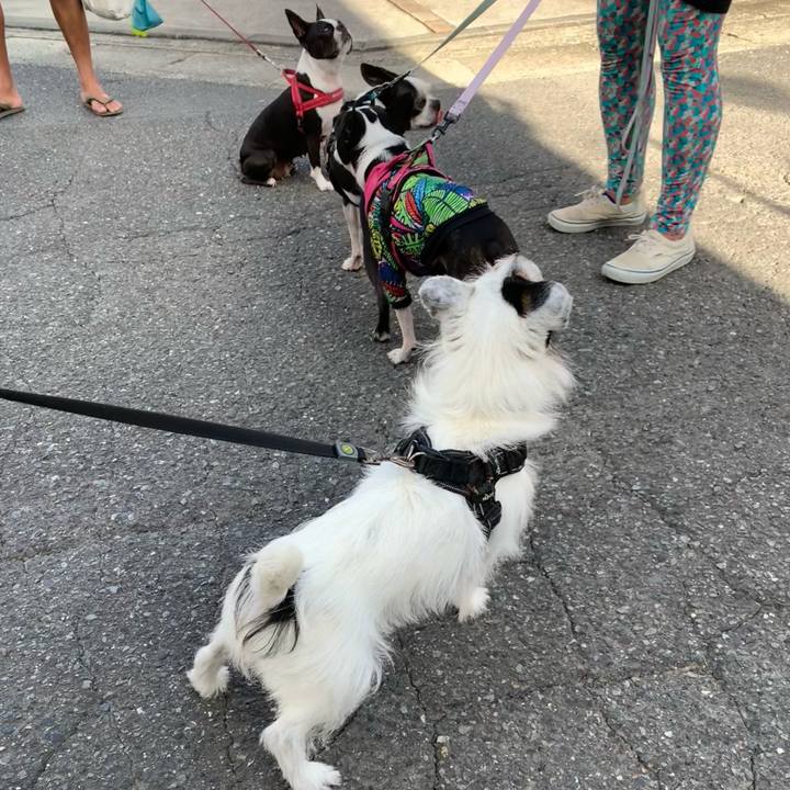 D0bb31bf 9890 4d3f 9817 b05e26dfd62c 1725837339624