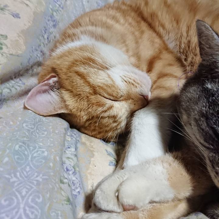 D0bb4121 4cb7 4f83 a9b1 63b7711e0eed 1579695825112