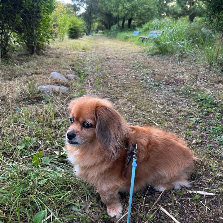 D0bb4906 23ce 4eda 8552 feb2a651b748 1693429765748