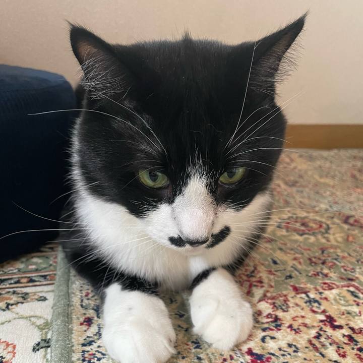 D0bb712c 1fdb 4514 9abc a9094389dd42 1717282154566