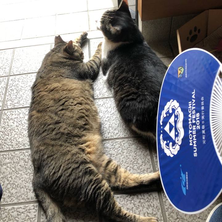 D0bb7531 84f3 42d5 8e53 b8667cfe7853 1563707595732