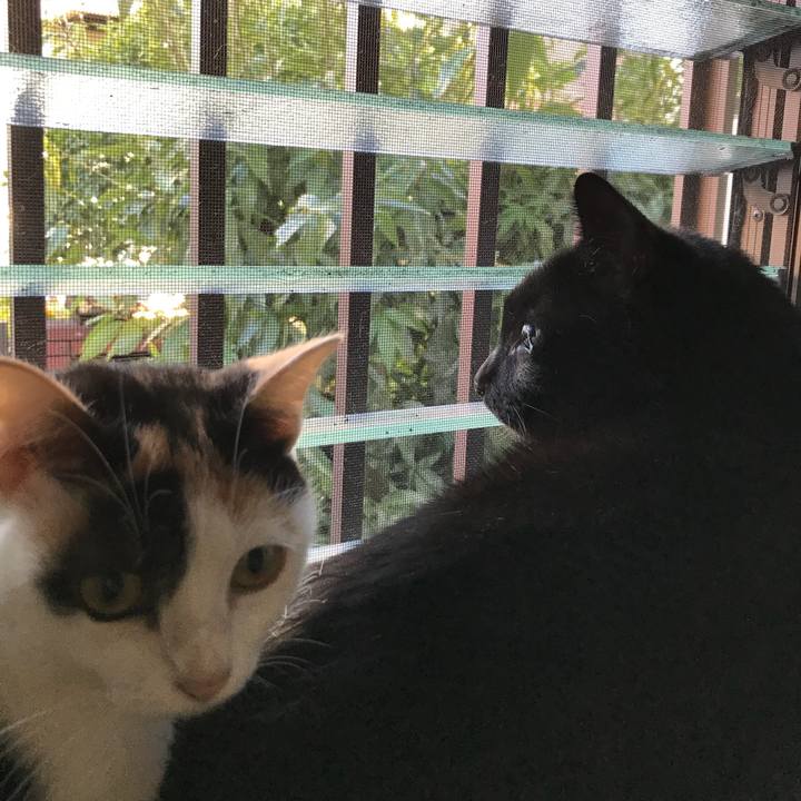 D0bb8eb0 48f6 4c13 881a 246ab222b4ca 1508722548341