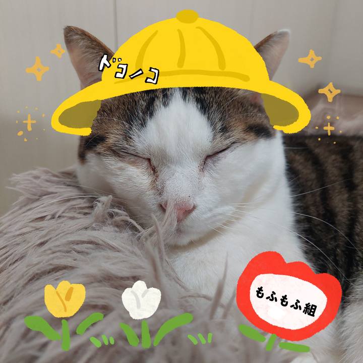 D0bba612 ff63 484d 880d baadef1d412d 1712199819755