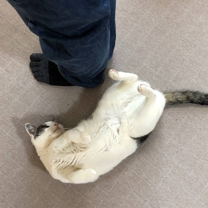 D0bbcdfb 96f1 4d30 86bc 229655ed3446 1649027290581