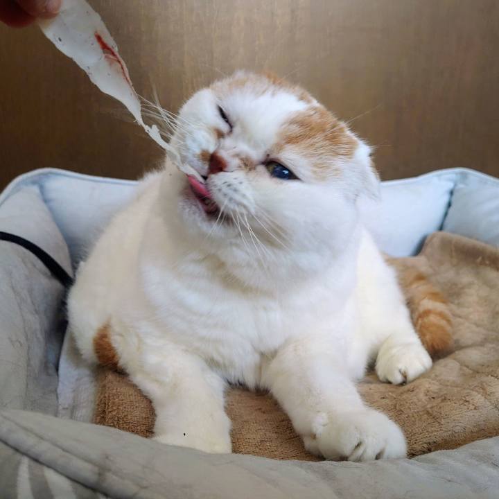 D0bc2a52 3dc4 4401 814a 4d6b6ee4cfb8 1766395698105