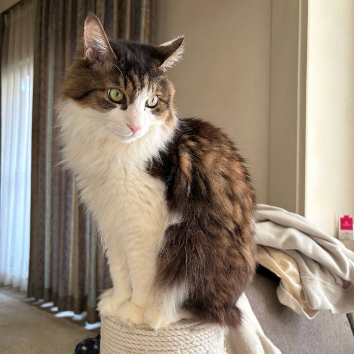 D0bc33c0 e991 4695 80fe f58d56c427a1 1771026943962