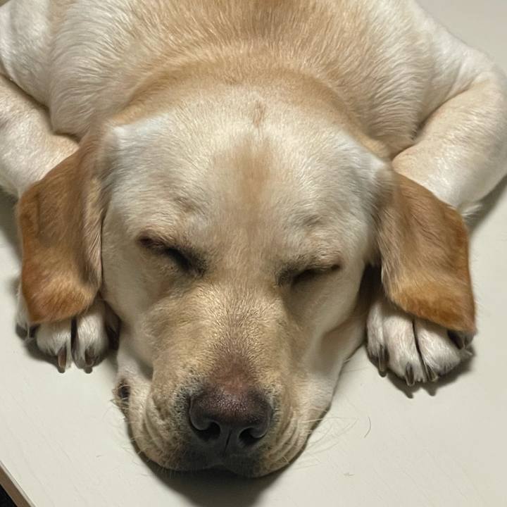 D0bc475d 5aa5 4c92 8a51 d9060027365b 1647781196442