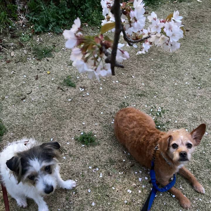 D0bc5dcc 2727 4591 b41b 8caea76d4ca7 1712413118644