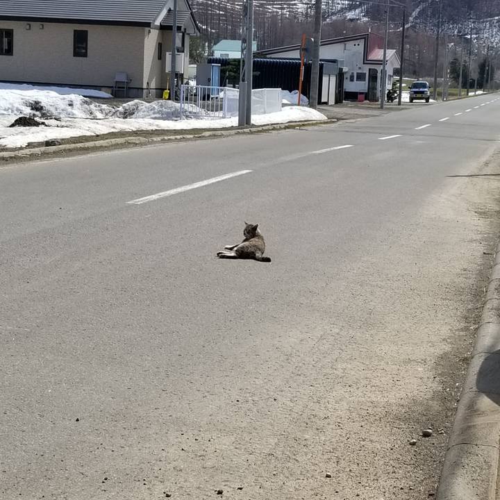 D0bc8219 a7b3 4a68 9c10 f988f9964d62 1649405604413