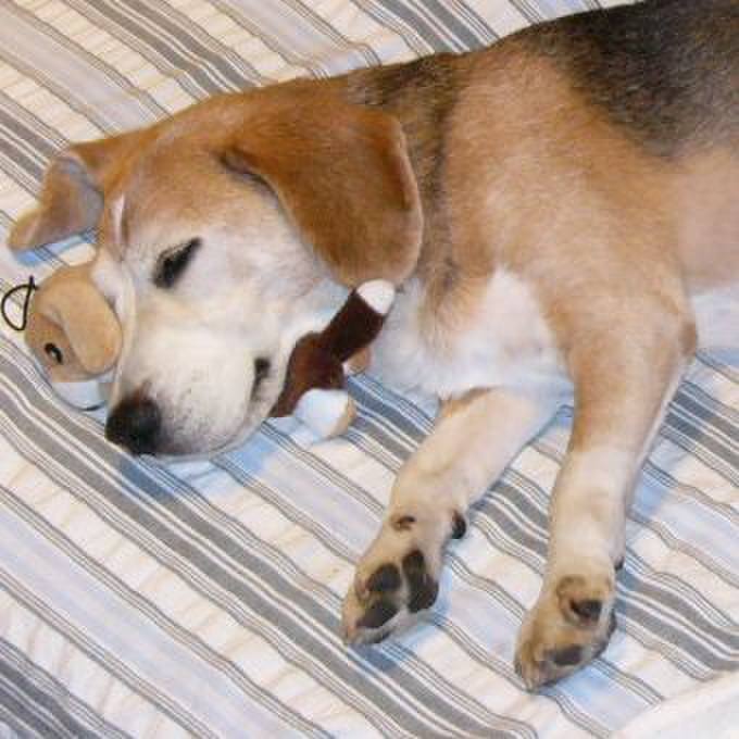 D0bc9c21 4e0a 4e77 83c2 2945a68e98ee 1646701081305