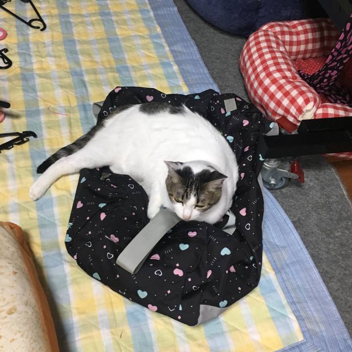 D0bcb4eb db4a 48ef ab27 b479aece323f 1527951118955