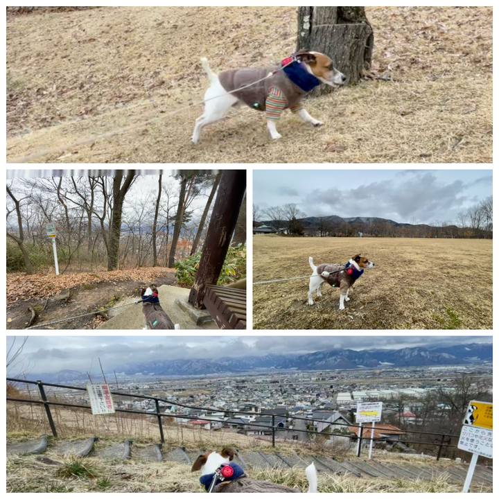 D0bcd9f2 f3bd 4803 8fe8 9a0b7f631540 1741257930432