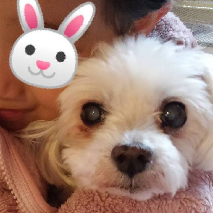 D0bcdef6 71af 4ea8 887d 0022fd0b7a72 1584023892625