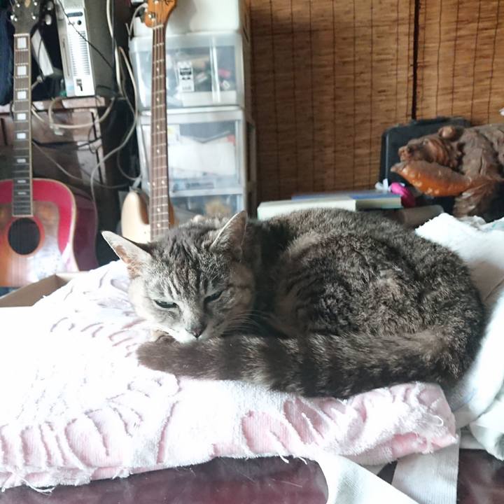 D0bcdf75 3dde 4074 9c84 c7d49bc76c03 1591692114321