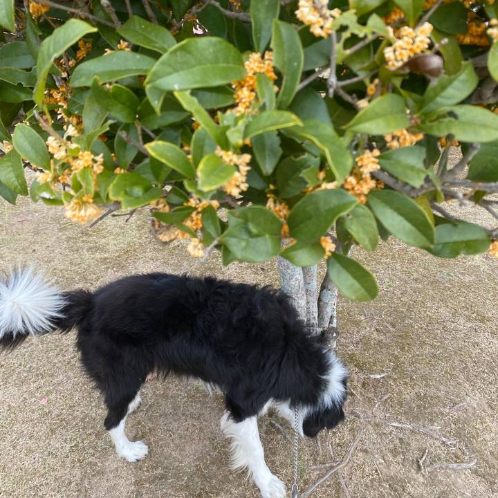 D0bceeb7 184e 44c2 aa4b f3286b5a9b91 1635561265274