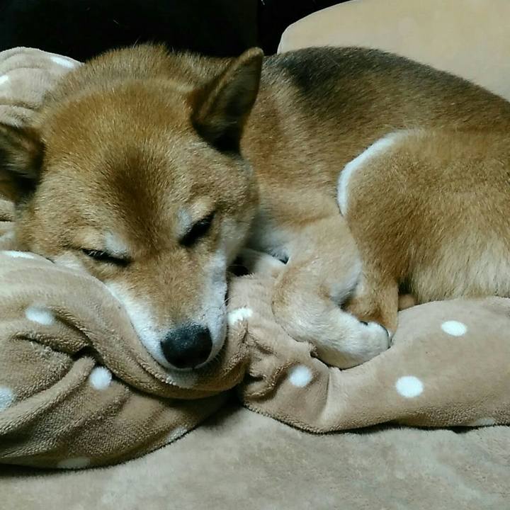 D0bd0502 f1dd 4286 a6b0 ee3eea73979f 1565434877038