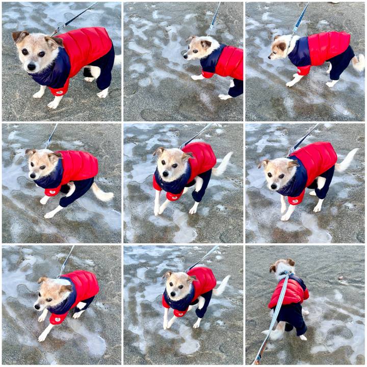 D0bd40b8 9583 4ddb b304 a4be2b6075d0 1706140812448