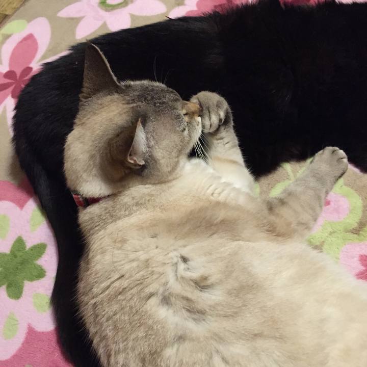 D0bd7758 1d64 4da1 8651 6be6839d19fa 1516795403461