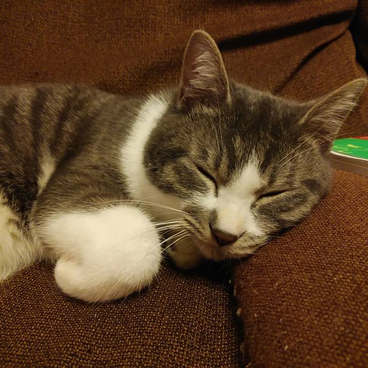 D0bd9b5e 7dd1 4341 b6da b1f9e12e44ad 1578665957444