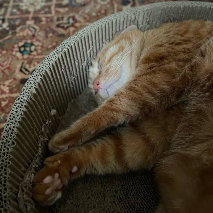 D0bdb0d9 c734 40cb 8645 666e47516573 1691976675568