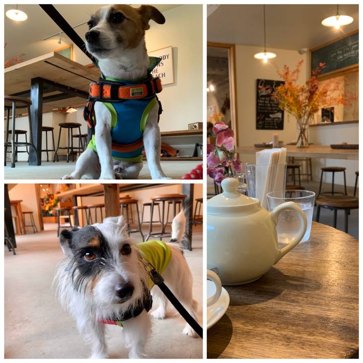 D0bddb83 8ac4 4d06 a9f4 b50a6bfcd2a0 1574492965444