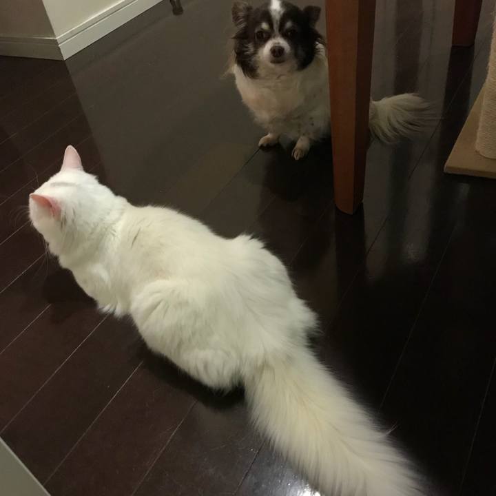 D0be166b daec 4ab5 a4df bdc4e29f183f 1516708308523