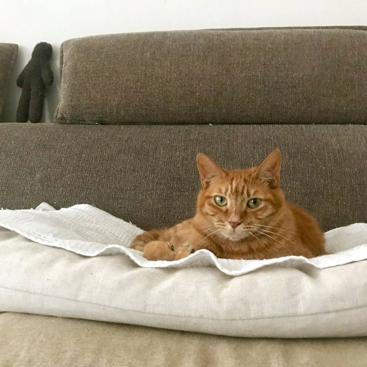 D0be2440 2956 427a b056 b679282e8b80 1562587409024