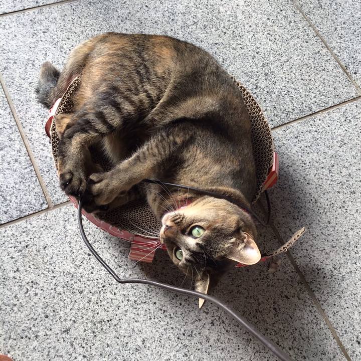 D0be2628 c06b 413b 843c f838af0ab788 1604895105765