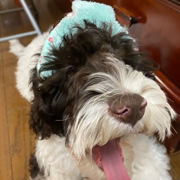 D0be2745 a8e7 400a 92e4 9336e440be46 1610693347338